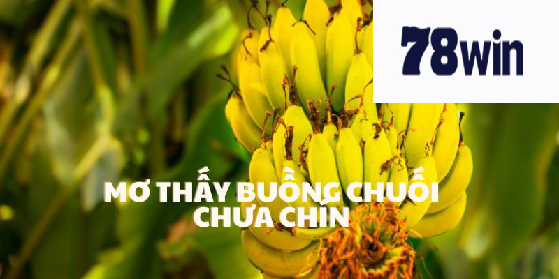 Mơ thấy buồng chuối chưa chín